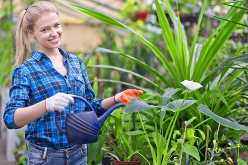 Technician preparing hedge trimmer for Wallington hedge trimming service