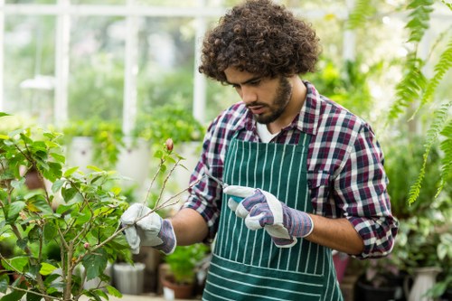 A young man with curly brown hair, wearing a striped green apron, a checkered shirt, and gardening gloves, is tending to plants inside a bright greenhouse. He is holding a small branch, possibly inspecting or pruning it, against a background of lush green foliage, including a mix of leafy shrubs and climbing plants. The greenhouse has transparent walls and ceiling panels allowing natural light to illuminate the space, highlighting the vibrant green tones of the plants and the soil areas visible at the base of the foliage. The environment appears well-maintained, with a variety of potted plants arranged in the background, suggesting a focus on gardening and outdoor maintenance services in Wallington or nearby areas. The image conveys a professional gardening activity, fitting into a gardening service website like hedgetrimmingwallington.co.uk, emphasizing expertise in plant care and greenhouse maintenance.