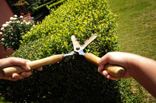 A close-up view of two hands holding garden pruning shears, trimming a dense, well-maintained hedge with bright green foliage in a residential garden setting. The hedge forms a neat, upright boundary along a paved area, surrounded by a lush, green lawn and various flowering plants. The background displays vibrant flowering shrubs and trees, with soft sunlight casting gentle shadows, indicating a clear, bright day. This scene captures the detailed act of hedge trimming typical of professional gardening services in Wallington, with the focus on the lush greenery and tidy garden layout consistent with outdoor maintenance work.