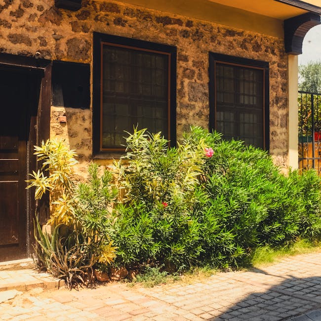 A well-maintained front garden in Wallington SM6 featuring neatly trimmed hedges along a paved pathway. The lush green grass is freshly cut, bordered by garden beds filled with a variety of plants and